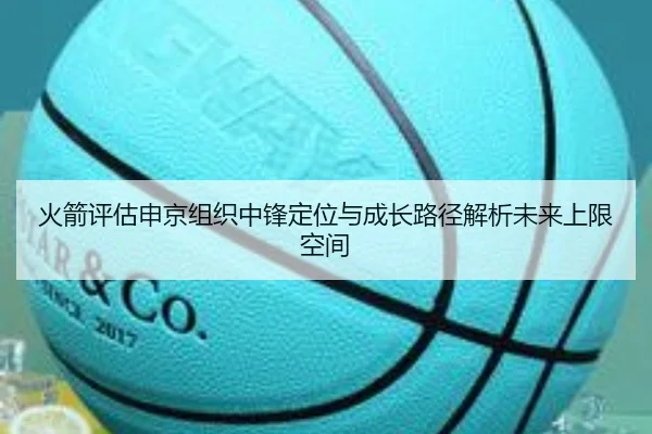 火箭评估申京组织中锋定位与成长路径解析未来上限空间